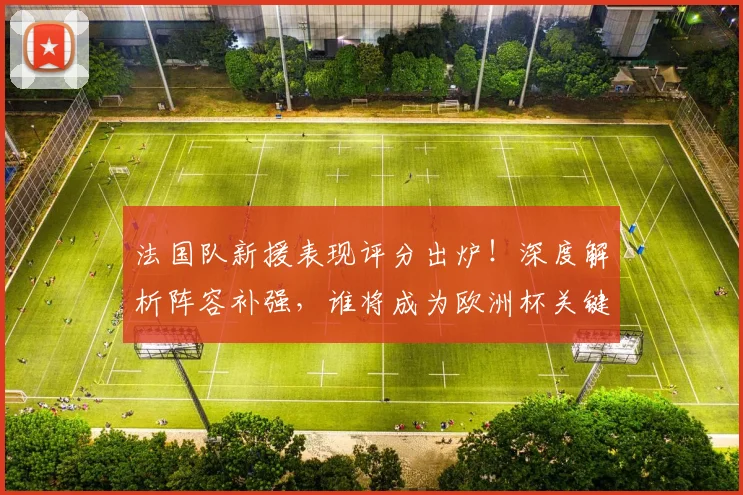 法国队新援表现评分出炉!深度解析阵容补强,谁将成为欧洲杯关键先生?
