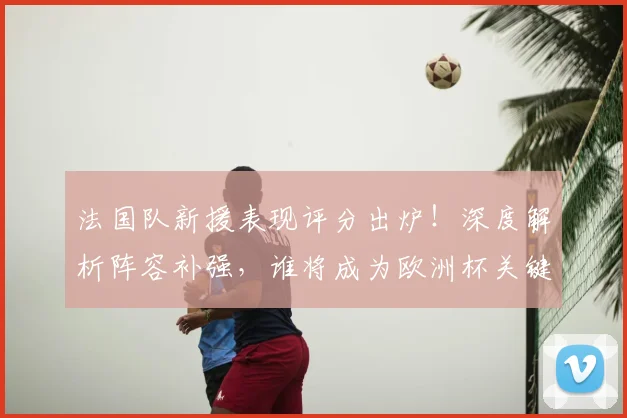法国队新援表现评分出炉!深度解析阵容补强,谁将成为欧洲杯关键先生?